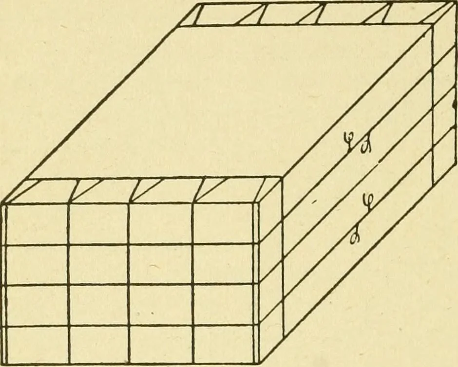 An illustration from Modern painting, hardwood finishing and sign writing .., 1914, leaf 491