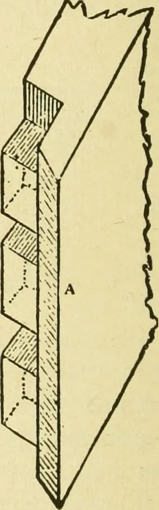 An illustration from Modern painting, hardwood finishing and sign writing .., 1914, leaf 499