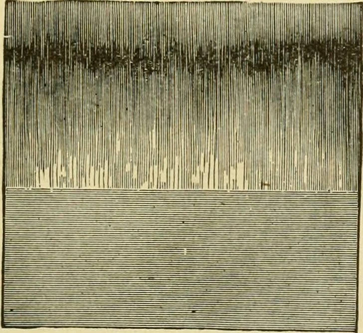 An illustration from Modern painting, hardwood finishing and sign writing .., 1914, leaf 54