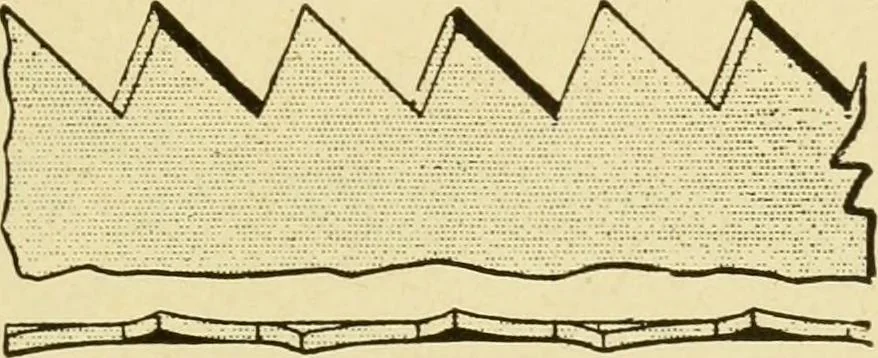 An illustration from Modern painting, hardwood finishing and sign writing .., 1914, leaf 544