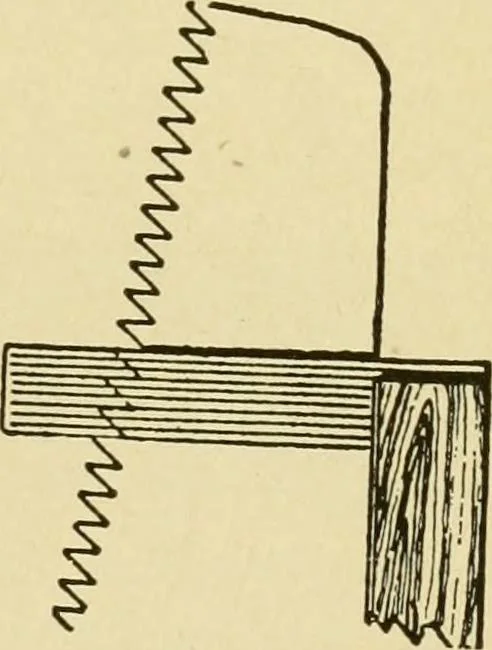 An illustration from Modern painting, hardwood finishing and sign writing .., 1914, leaf 550