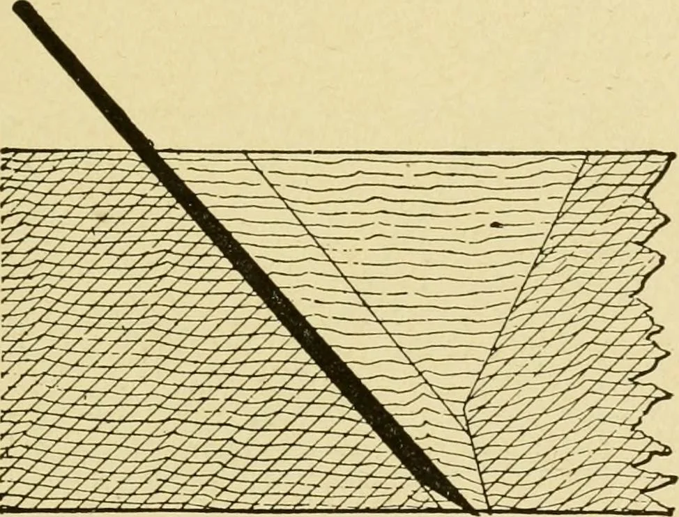An illustration from Modern painting, hardwood finishing and sign writing .., 1914, leaf 556
