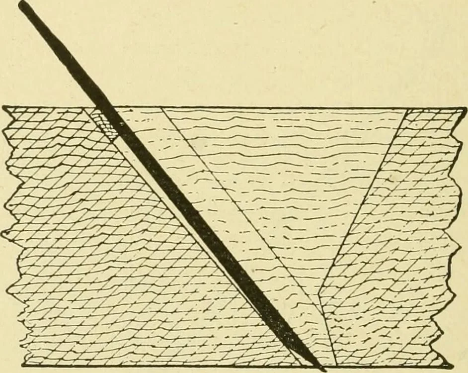 An illustration from Modern painting, hardwood finishing and sign writing .., 1914, leaf 557