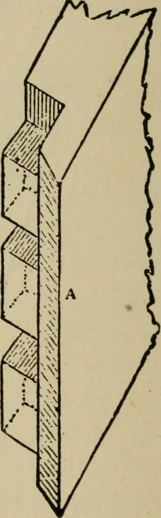 An illustration from Modern painting, hardwood finishing and sign writing, 1918, leaf 503