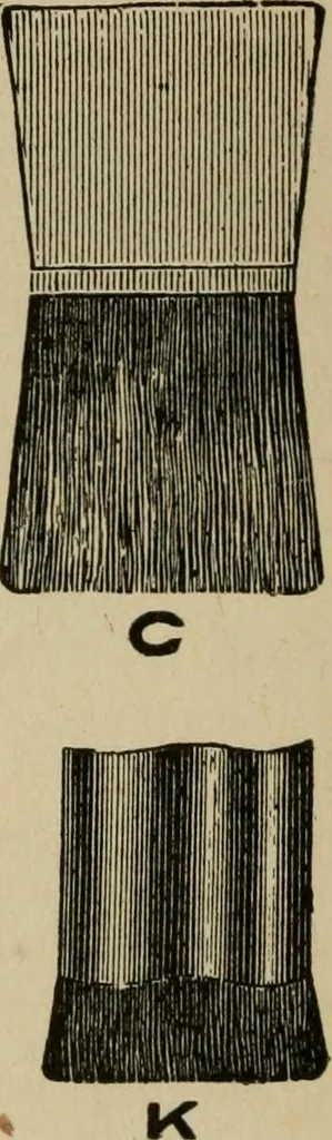 An illustration from Modern painting, hardwood finishing and sign writing, 1918, leaf 51