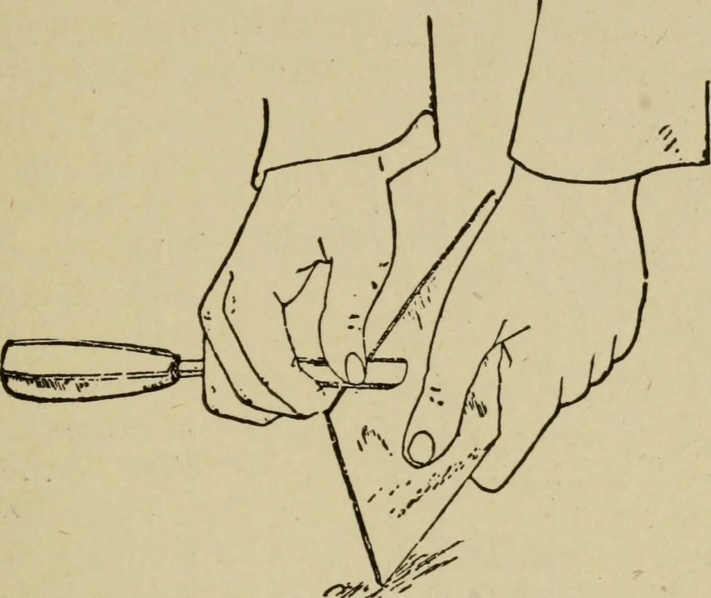An illustration from Modern painting, hardwood finishing and sign writing, 1918, leaf 538