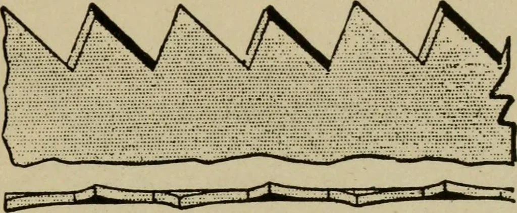 An illustration from Modern painting, hardwood finishing and sign writing, 1918, leaf 548