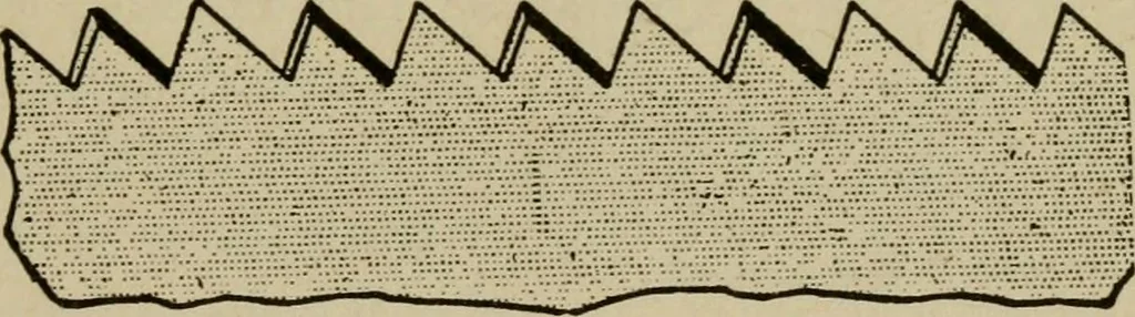 An illustration from Modern painting, hardwood finishing and sign writing, 1918, leaf 548