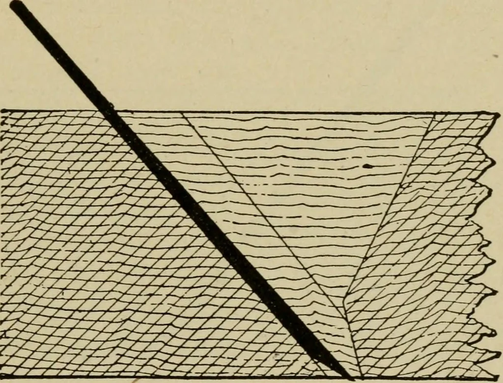 An illustration from Modern painting, hardwood finishing and sign writing, 1918, leaf 560