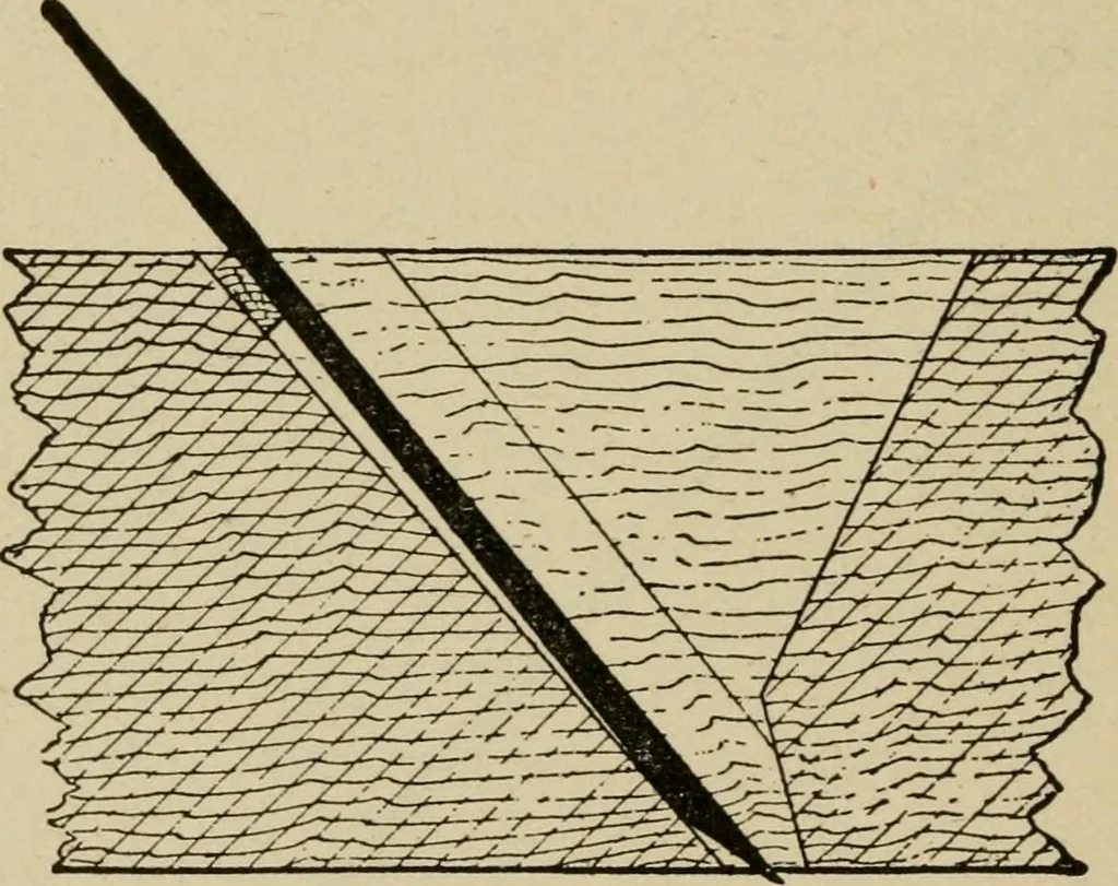 An illustration from Modern painting, hardwood finishing and sign writing, 1918, leaf 561