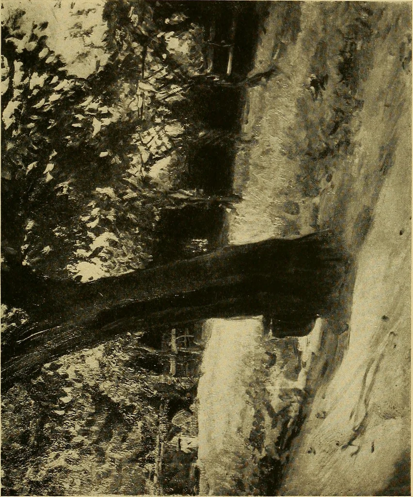 An illustration from Modern paintings by German and Austrian masters, 1916, leaf 254
