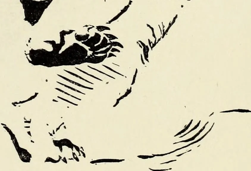 An illustration from Modern pen drawings: European and American;, 1901, leaf 184