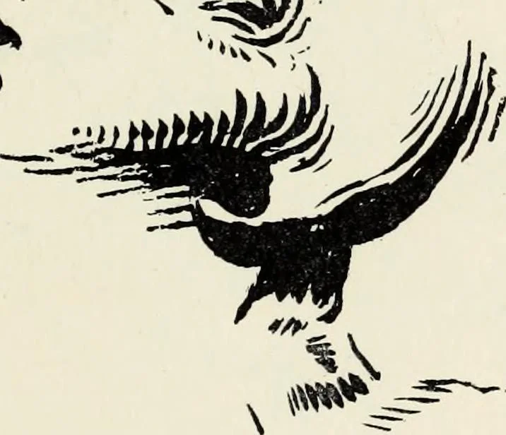 An illustration from Modern pen drawings: European and American;, 1901, leaf 185