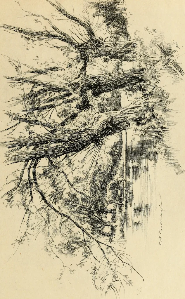 An illustration from Modern pen drawings: European and American;, 1901, leaf 187
