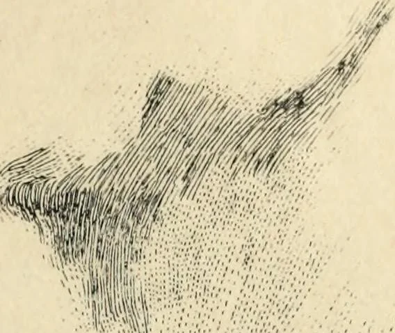 An illustration from Modern pen drawings: European and American;, 1901, leaf 195