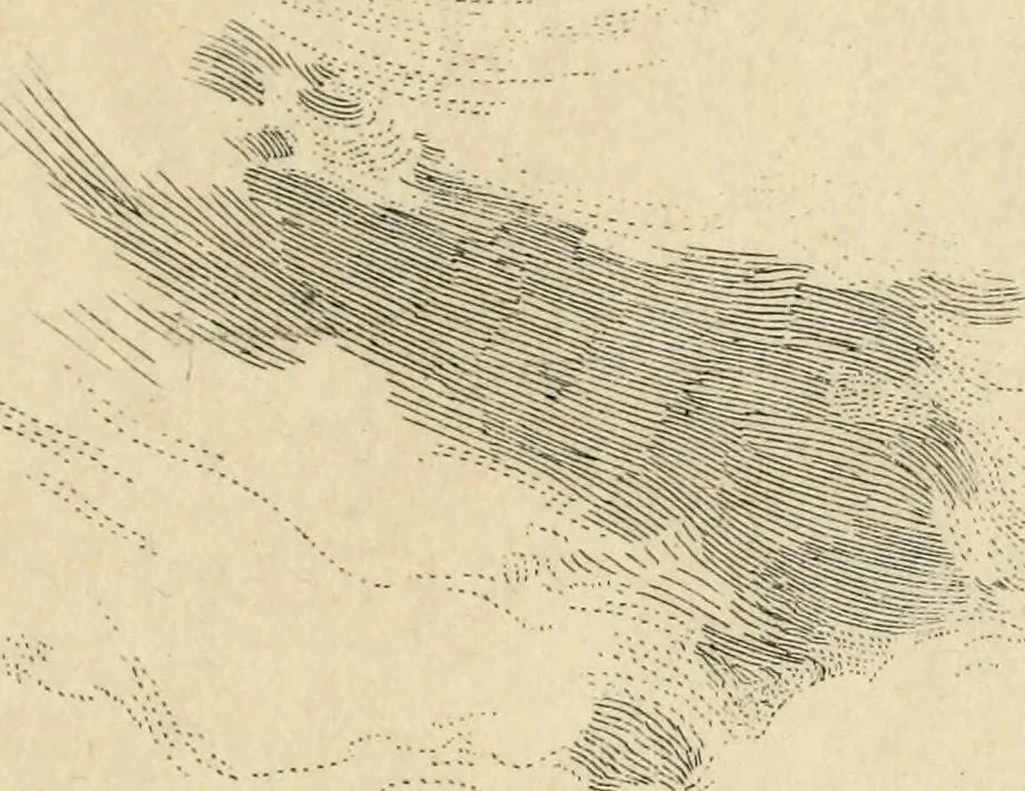 An illustration from Modern pen drawings: European and American;, 1901, leaf 195