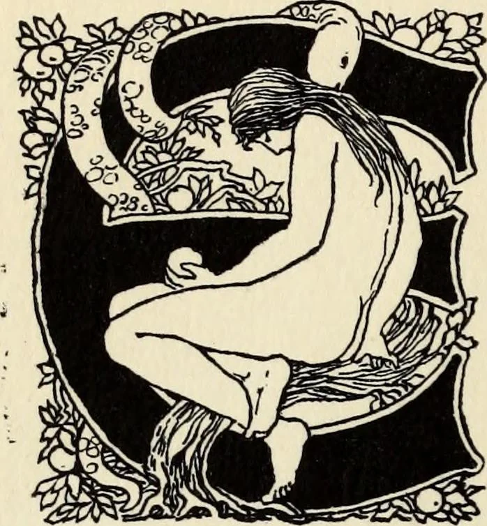 An illustration from Modern pen drawings: European and American;, 1901, leaf 312