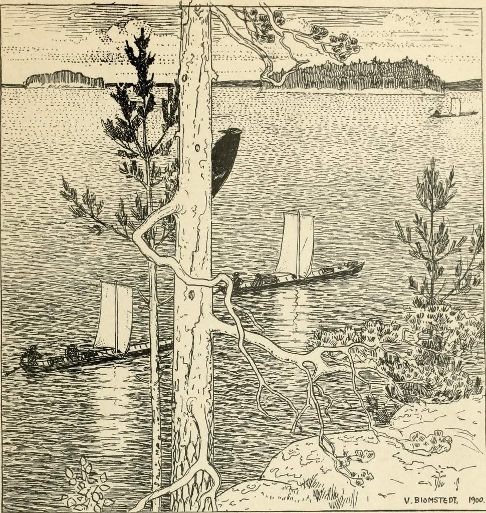 An illustration from Modern pen drawings: European and American;, 1901, leaf 341