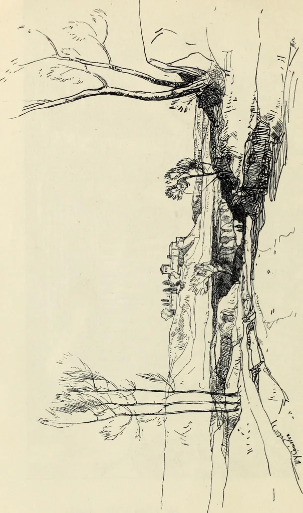 An illustration from Modern pen drawings: European and American;, 1901, leaf 57