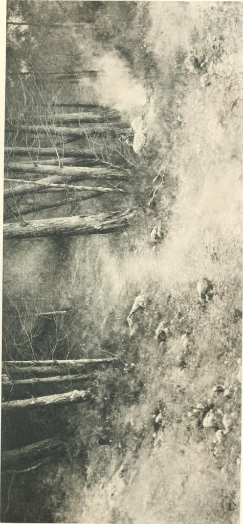 An illustration from Modern Spanish painting; being a review of some of the chief painters and paintings of the Spanish school since the time of Goya, 1908, leaf 110