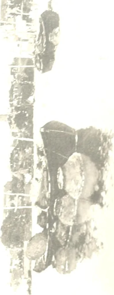 An illustration from Modern Spanish painting; being a review of some of the chief painters and paintings of the Spanish school since the time of Goya, 1908, leaf 98