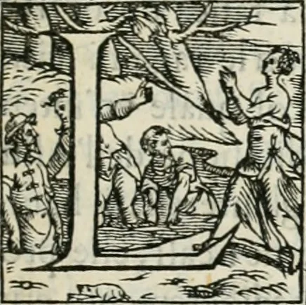 An illustration from Modo del dividere l'allvvioni da qvello di Bartolo, et de gli agrimensori diverso. Mostrato con ragioni mathematiche & con pratica, 1579, leaf 12