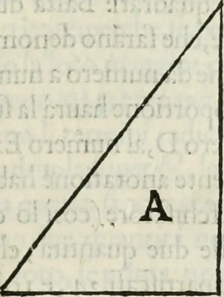 An illustration from Modo del dividere l'allvvioni da qvello di Bartolo, et de gli agrimensori diverso. Mostrato con ragioni mathematiche & con pratica, 1579, leaf 132