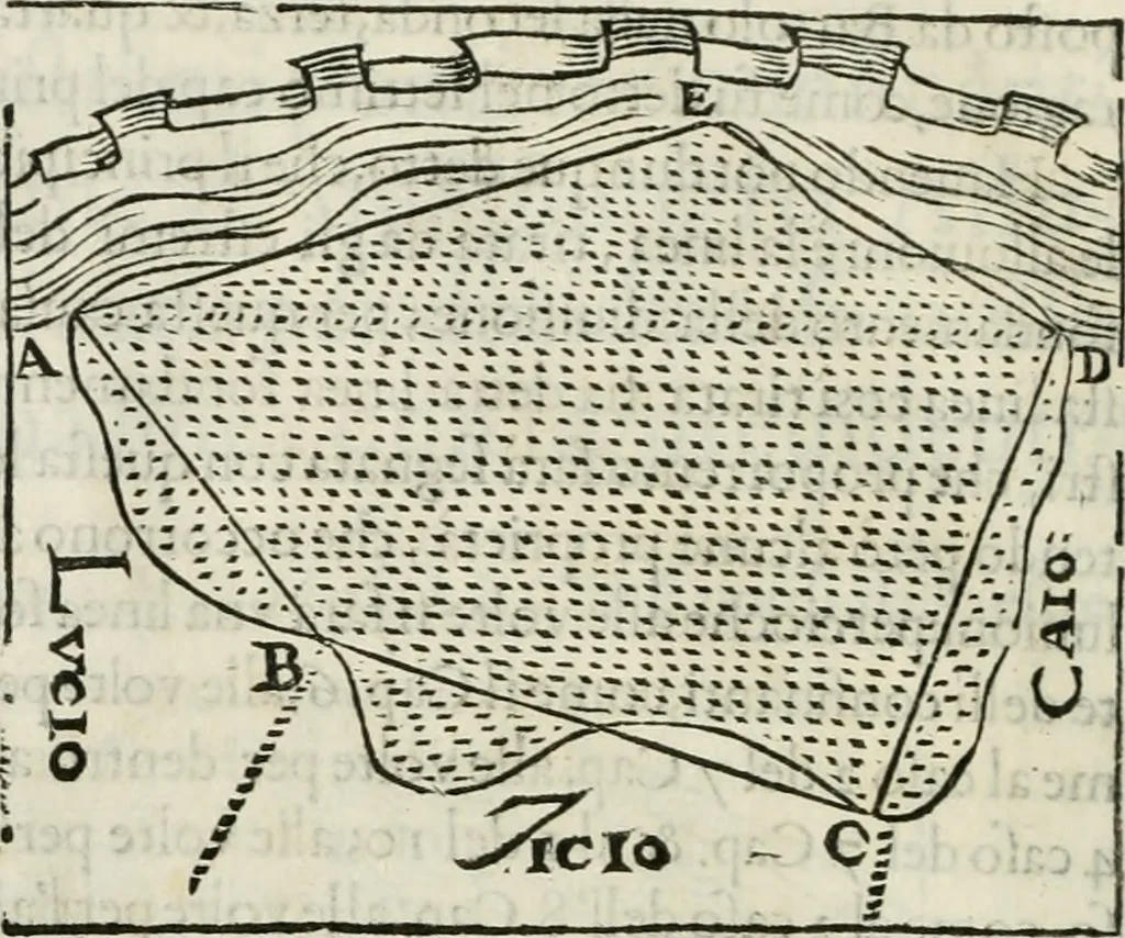 An illustration from Modo del dividere l'allvvioni da qvello di Bartolo, et de gli agrimensori diverso. Mostrato con ragioni mathematiche & con pratica, 1579, leaf 145