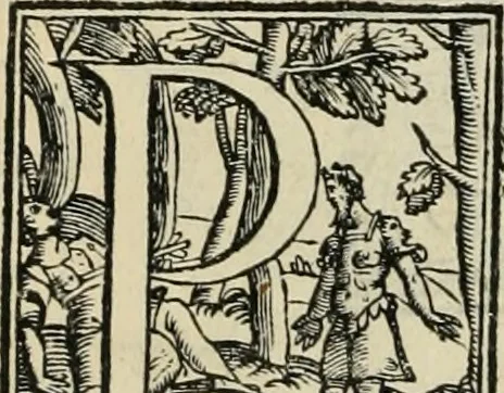 An illustration from Modo del dividere l'allvvioni da qvello di Bartolo, et de gli agrimensori diverso. Mostrato con ragioni mathematiche & con pratica, 1579, leaf 33