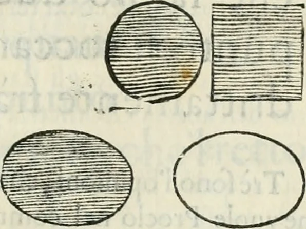 An illustration from Modo del dividere l'allvvioni da qvello di Bartolo, et de gli agrimensori diverso. Mostrato con ragioni mathematiche & con pratica, 1579, leaf 38