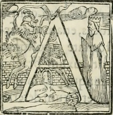 An illustration from Modo del dividere l'allvvioni da qvello di Bartolo, et de gli agrimensori diverso. Mostrato con ragioni mathematiche & con pratica, 1579, leaf 8