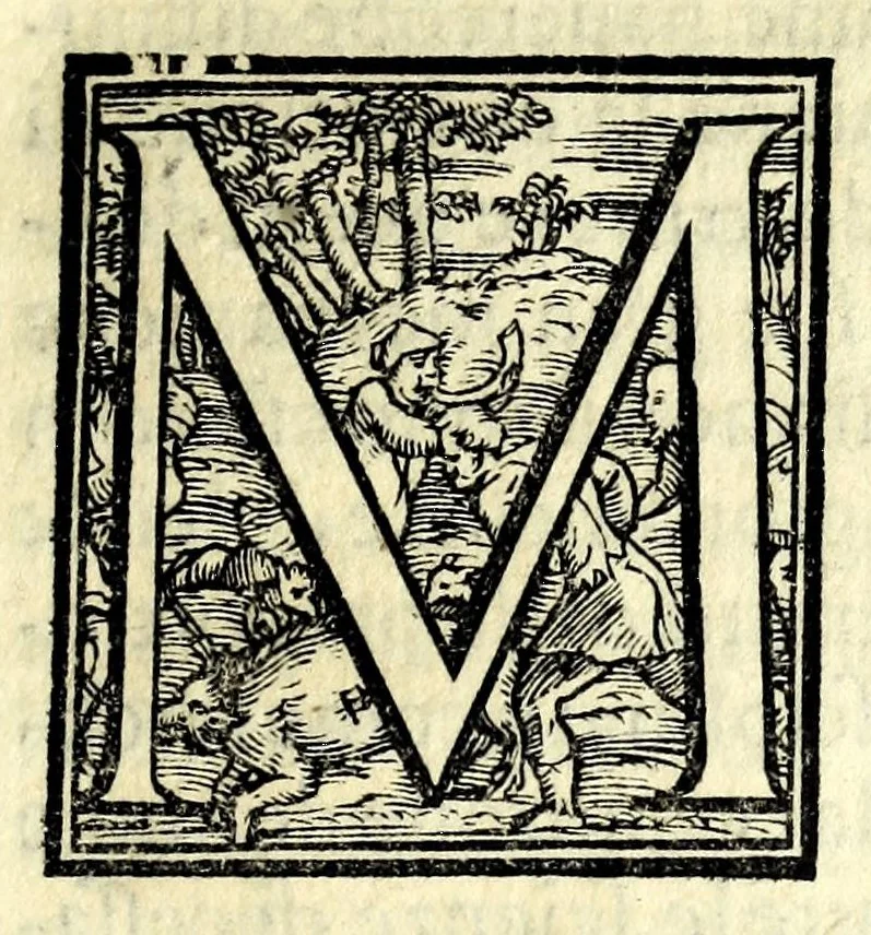 An illustration from Modo di formare con prestezza le moderne battaglie di picche, archibvgieri, et cavalleria : con tre avisi del modo del marchiare, in modo di dialogo, 1571, leaf 11