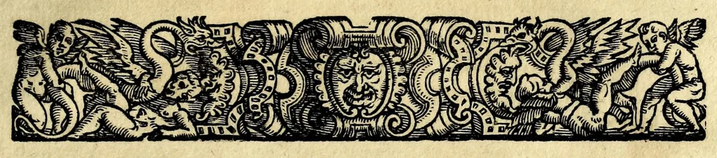 An illustration from Modo di formare con prestezza le moderne battaglie di picche, archibvgieri, et cavalleria : con tre avisi del modo del marchiare, in modo di dialogo, 1571, leaf 71