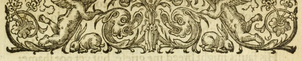 An illustration from The monarchicke tragedies ..., 1607, leaf 317