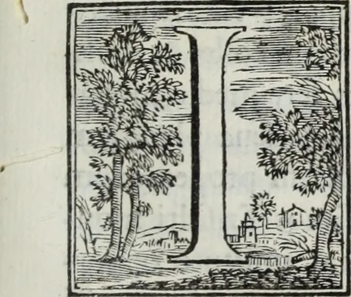An illustration from Monasterii Sanctae Mariae et Sanctorum Johannis et Pauli de Casaemario brevis historia, 1707, leaf 28