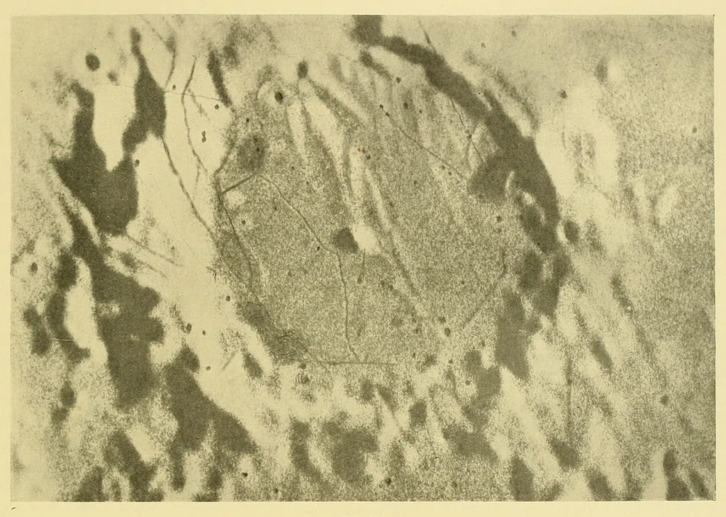 An illustration from Mond-Atlas; nach seinen an der Pia-Stern-warte in Triest angestellten Beobachtungen unter Zugrundelegung der hinterlassenen Zeichnungen und Skizzen. Bearbeitet und mit Unterstützung der kaiserl, 1912, leaf 221