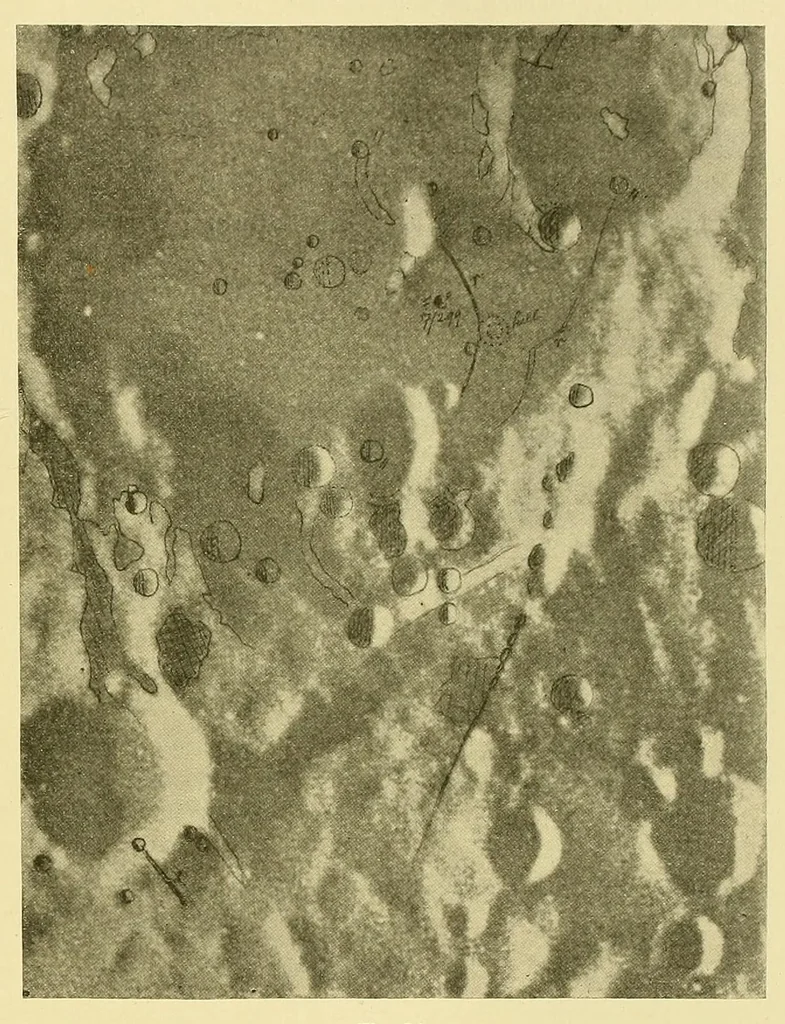 An illustration from Mond-Atlas; nach seinen an der Pia-Stern-warte in Triest angestellten Beobachtungen unter Zugrundelegung der hinterlassenen Zeichnungen und Skizzen. Bearbeitet und mit Unterstützung der kaiserl, 1912, leaf 371
