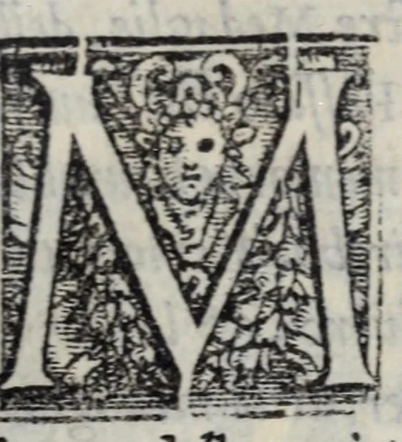 An illustration from Mondi celesti, terrestri et infernali, de gli Academici Pellegrini, 1562, leaf 153