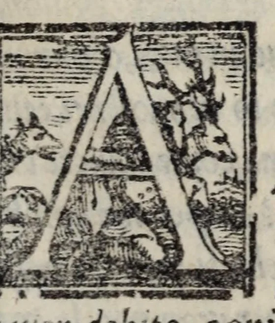 An illustration from Mondi celesti, terrestri et infernali, de gli Academici Pellegrini, 1562, leaf 261