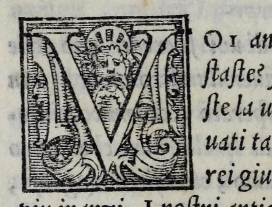 An illustration from Mondi celesti, terrestri et infernali, de gli Academici Pellegrini, 1562, leaf 262