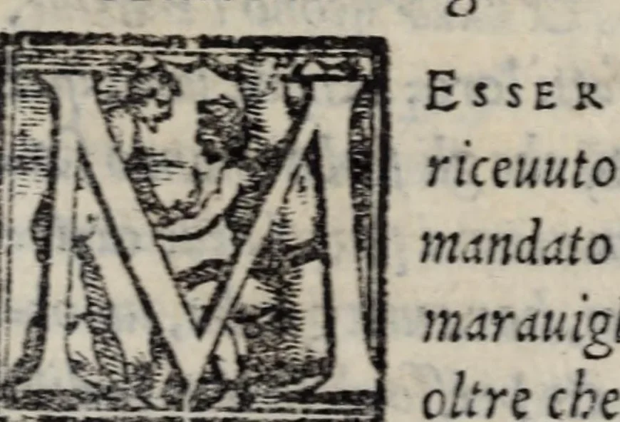 An illustration from Mondi celesti, terrestri et infernali, de gli Academici Pellegrini, 1562, leaf 269