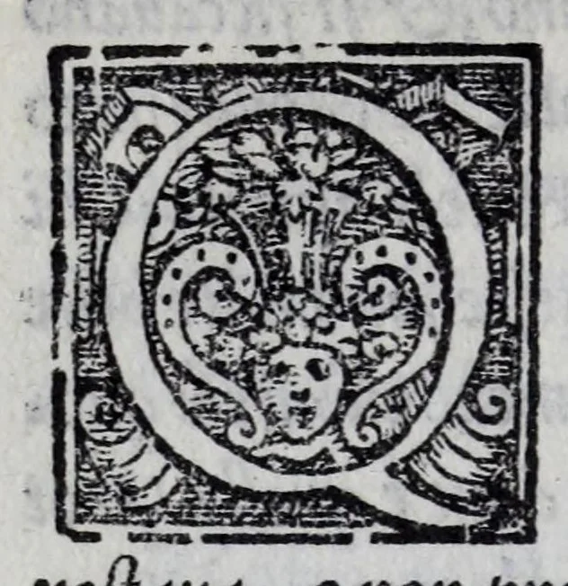 An illustration from Mondi celesti, terrestri et infernali, de gli Academici Pellegrini, 1562, leaf 312