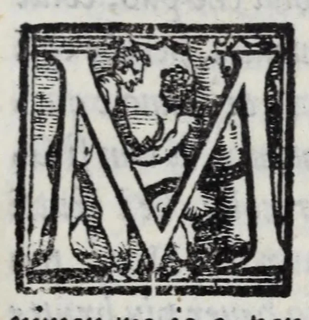 An illustration from Mondi celesti, terrestri et infernali, de gli Academici Pellegrini, 1562, leaf 333