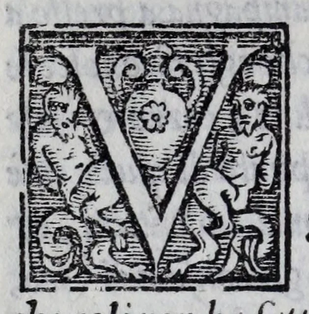 An illustration from Mondi celesti, terrestri et infernali, de gli Academici Pellegrini, 1562, leaf 362