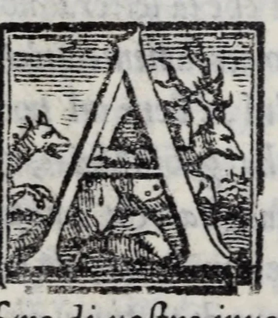 An illustration from Mondi celesti, terrestri et infernali, de gli Academici Pellegrini, 1562, leaf 387