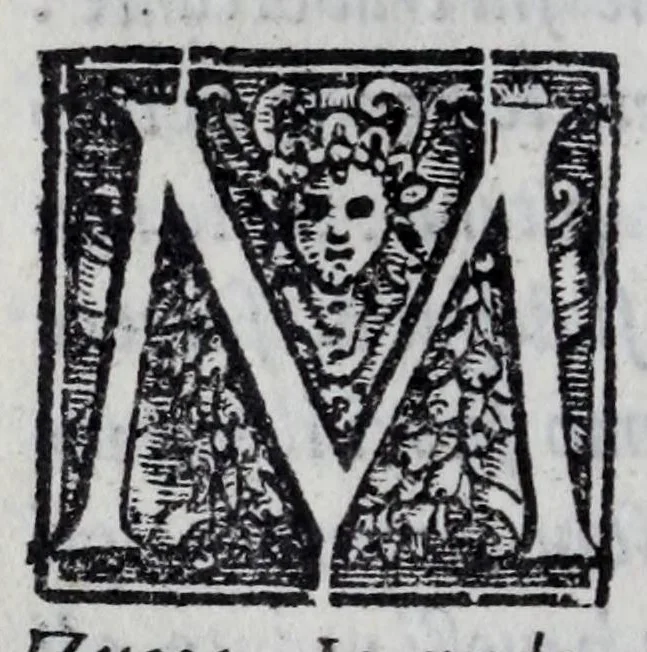 An illustration from Mondi celesti, terrestri et infernali, de gli Academici Pellegrini, 1562, leaf 440