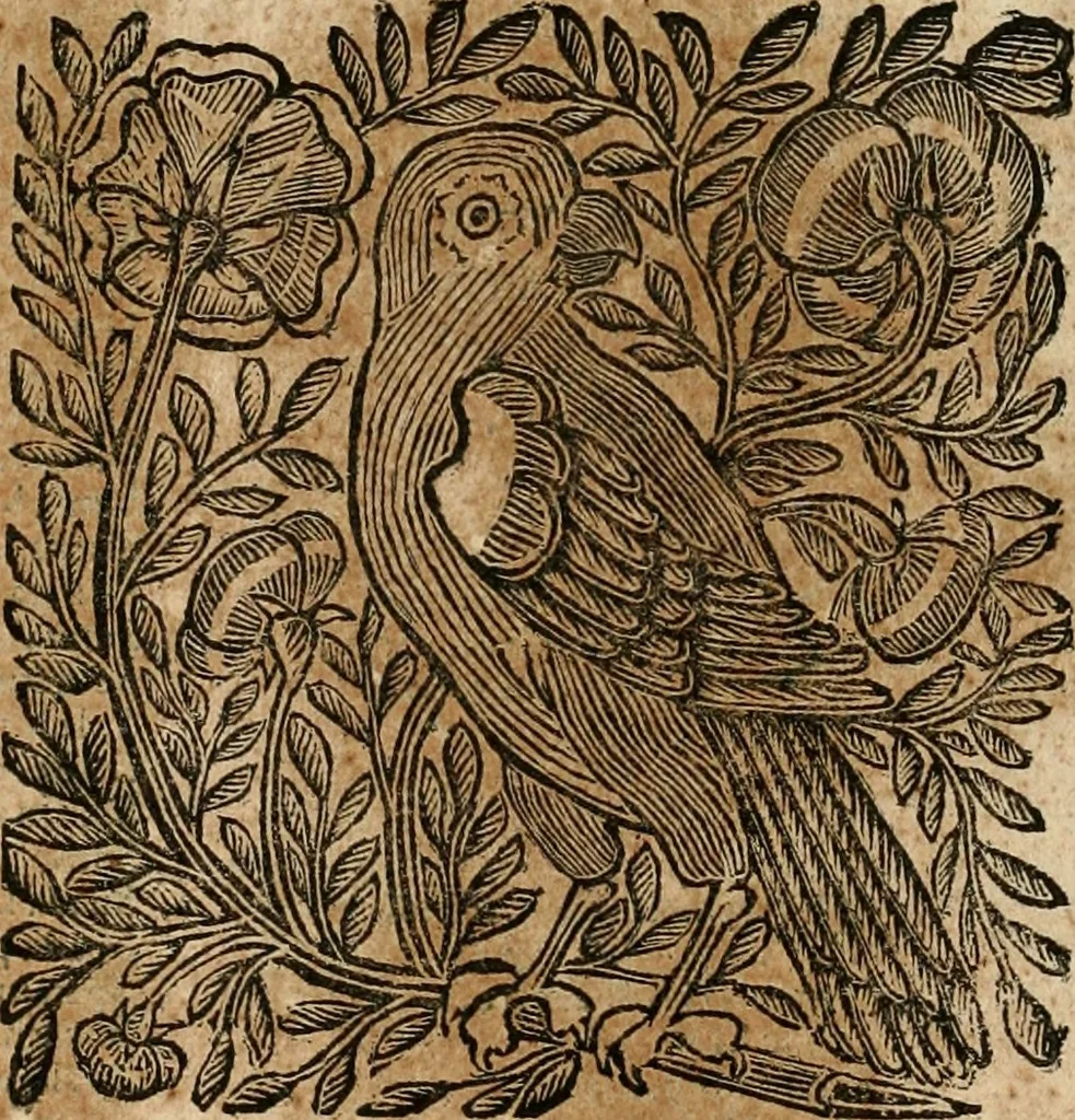 An illustration from Mondo simbolico : formato d'imprese scelte, spiegate, ed illustrate con sentenze ed eruditioni, sacre e profane : in questa impressione da mille e mille parti ampliato, 1669, leaf 31