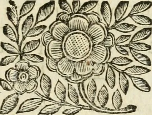 An illustration from Mondo simbolico : formato d'imprese scelte, spiegate, ed illustrate con sentenze ed eruditioni, sacre e profane : in questa impressione da mille e mille parti ampliato, 1669, leaf 344