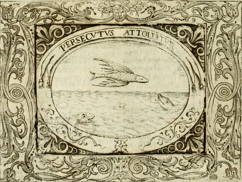 An illustration from Mondo simbolico : formato d'imprese scelte, spiegate, ed illustrate con sentenze ed eruditioni, sacre e profane : in questa impressione da mille e mille parti ampliato, 1669, leaf 373