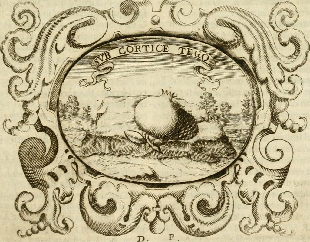 An illustration from Mondo simbolico : formato d'imprese scelte, spiegate, ed illustrate con sentenze ed eruditioni, sacre e profane : in questa impressione da mille e mille parti ampliato, 1669, leaf 464
